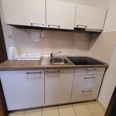 Kamzik Hill View With Garage Apartment *