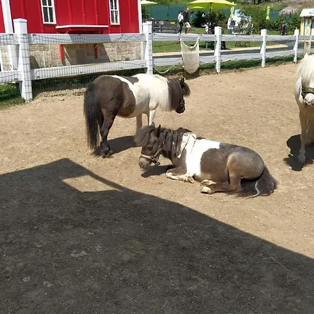 Kamzik Hill View With Garage Διαμέρισμα *