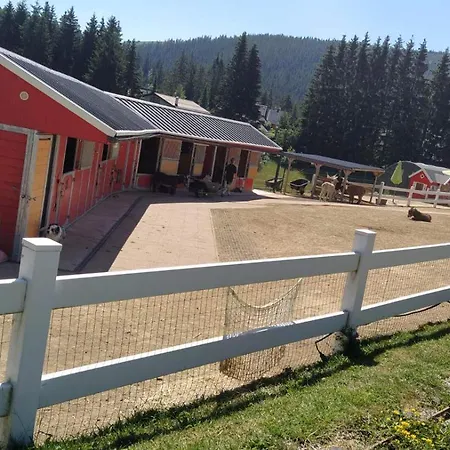 Kamzik Hill View With Garage