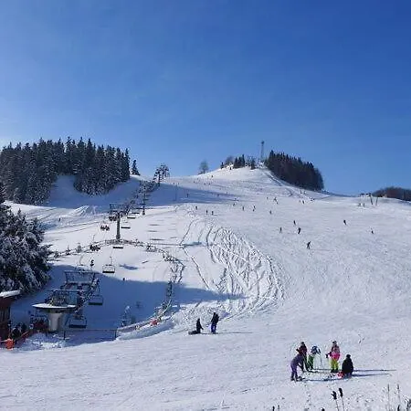 Kamzik With Mountain View & Garage Apartment *